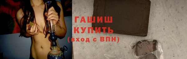индика Дмитровск