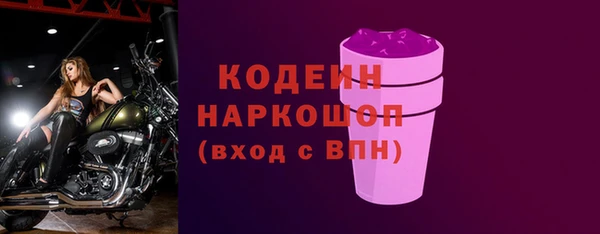 первитин Гусев
